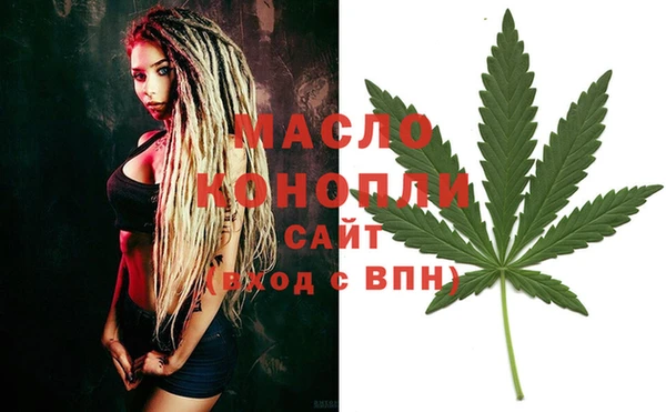 гашик Весьегонск