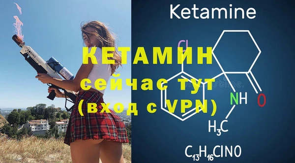 шишки Переславль-Залесский